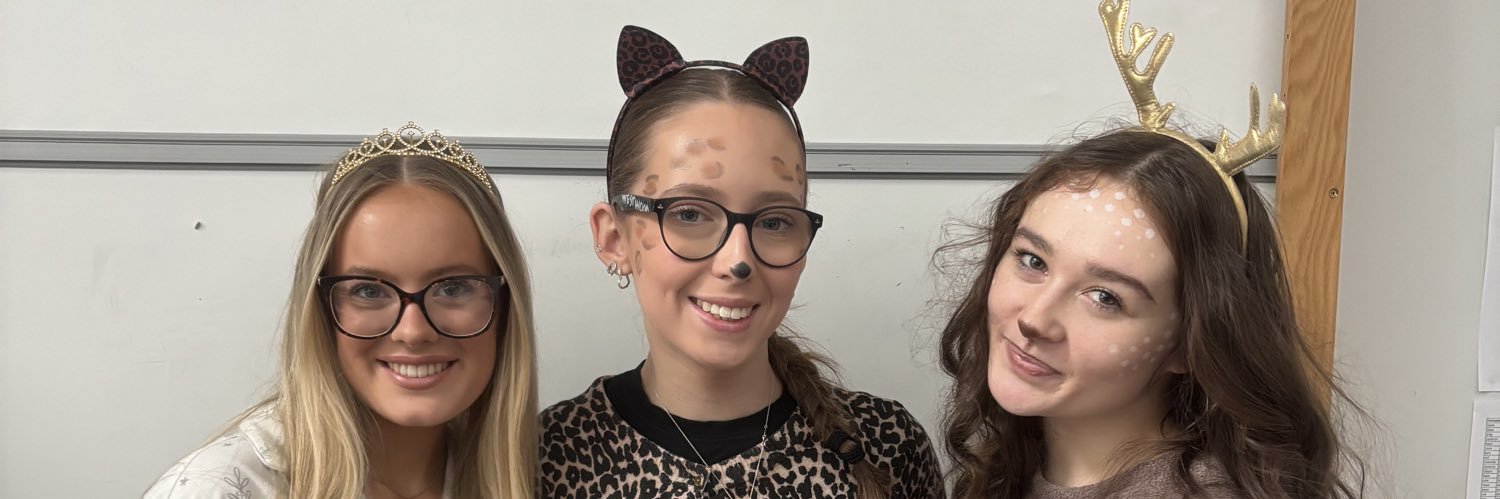 CurranHouseCVHS banner