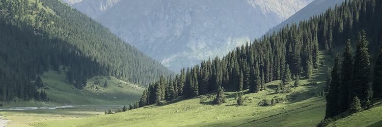 ris_gallery's profile banner image