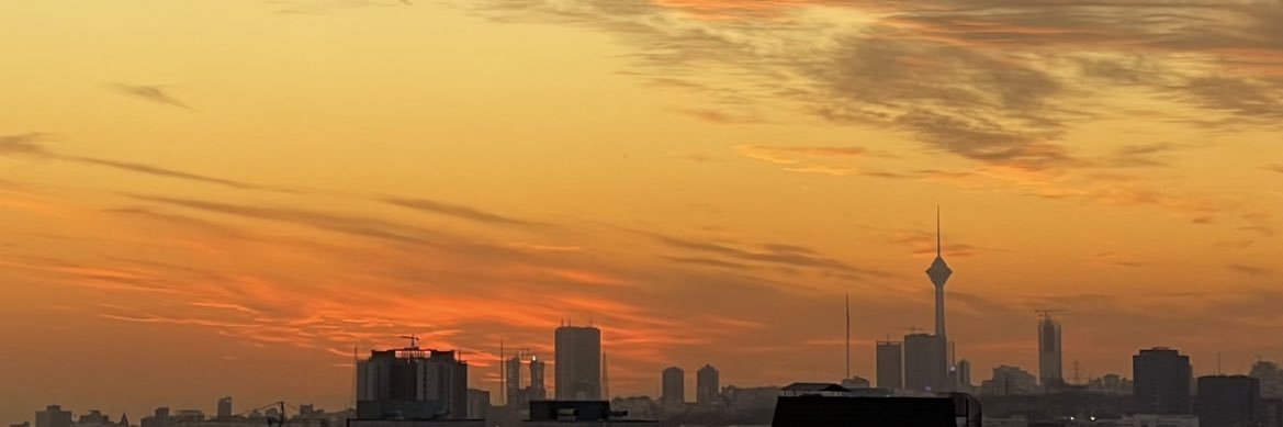 𝐴𝑙𝑦 banner