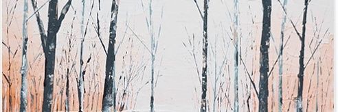 barrydaly5000's profile banner image