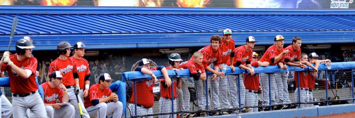 Diamond Boys Baseball Club banner