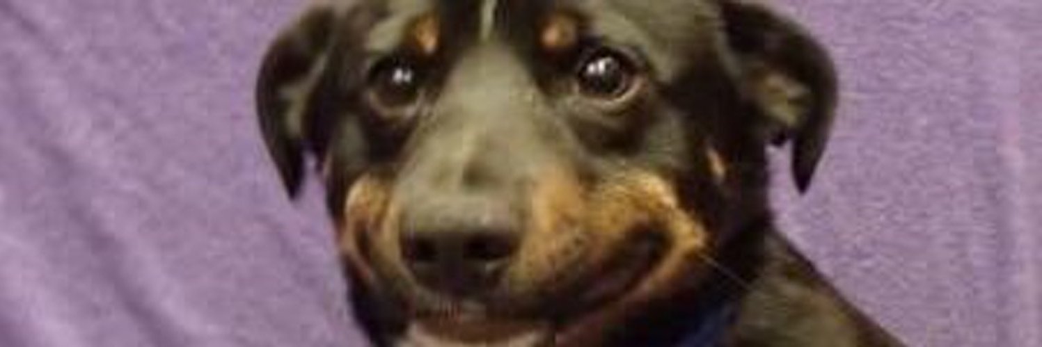 skylarbaker17's profile banner image