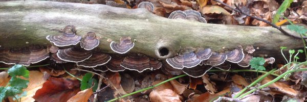 Jan57860130 Profile Banner