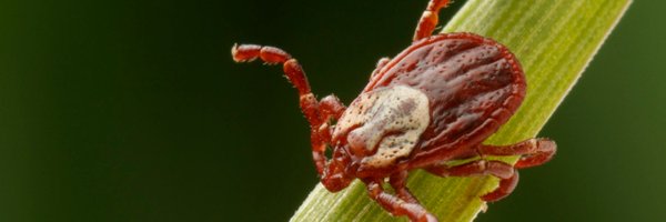 secvbd Profile Banner