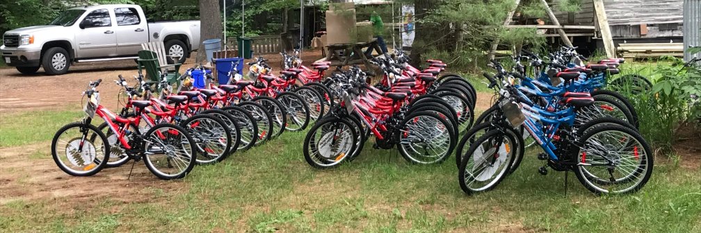 TLDSB Healthy Active Living banner