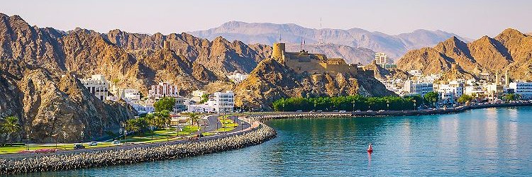 ya_alshamakhi's profile banner image