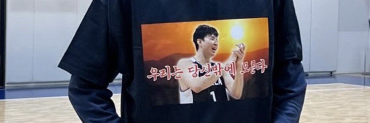 voyager banner