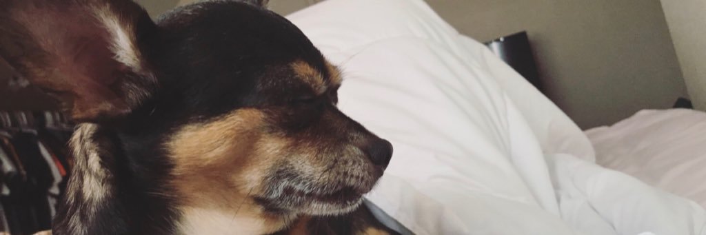 itstaranicole's profile banner image