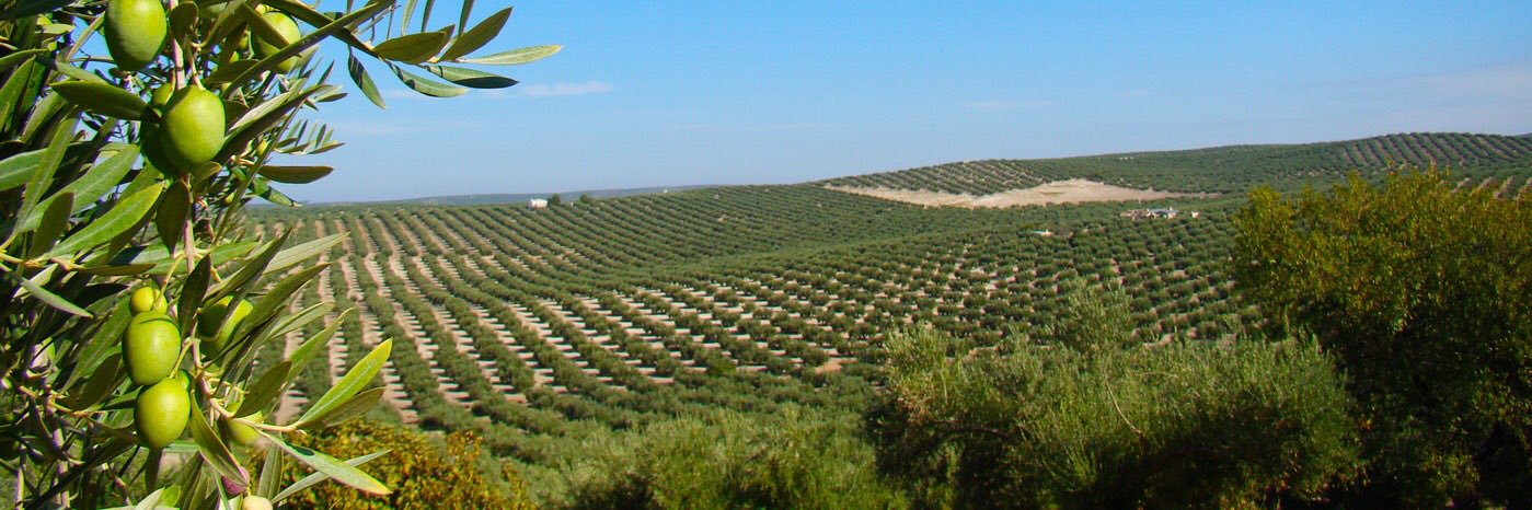 María Luisa del Moral Leal banner