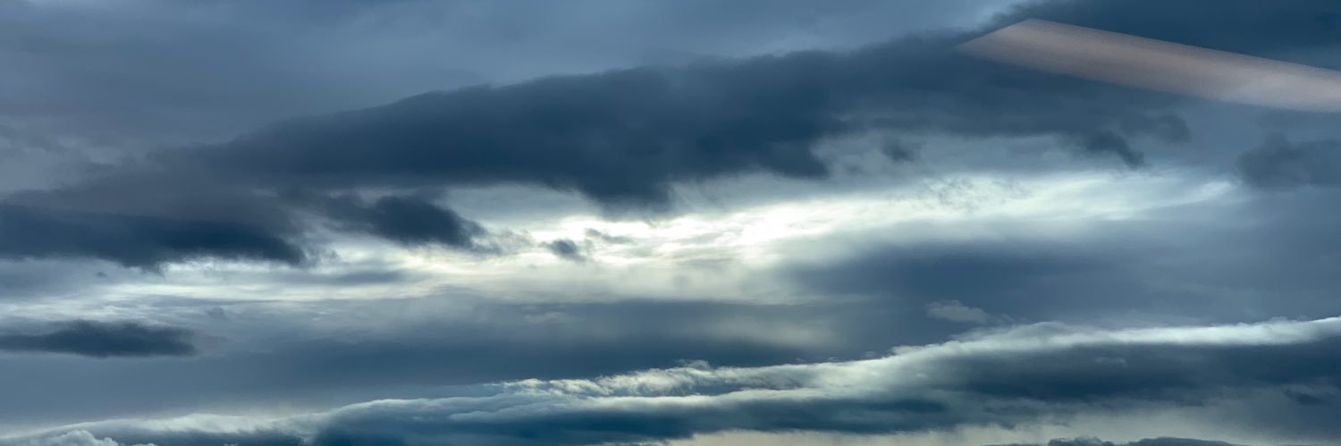 NHViking 🇺🇸 🌲ᚾᚺᚹᛁᚲᛁᛝ banner