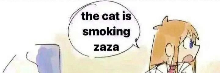 Stoned_cat_'s profile banner image