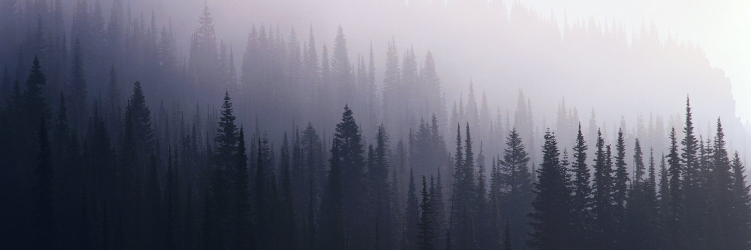 cycopepe's profile banner image