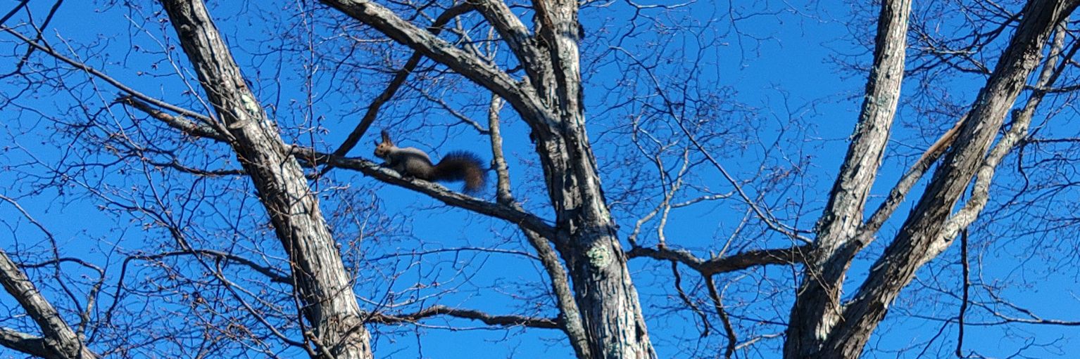 今日もプーラー室にいます banner