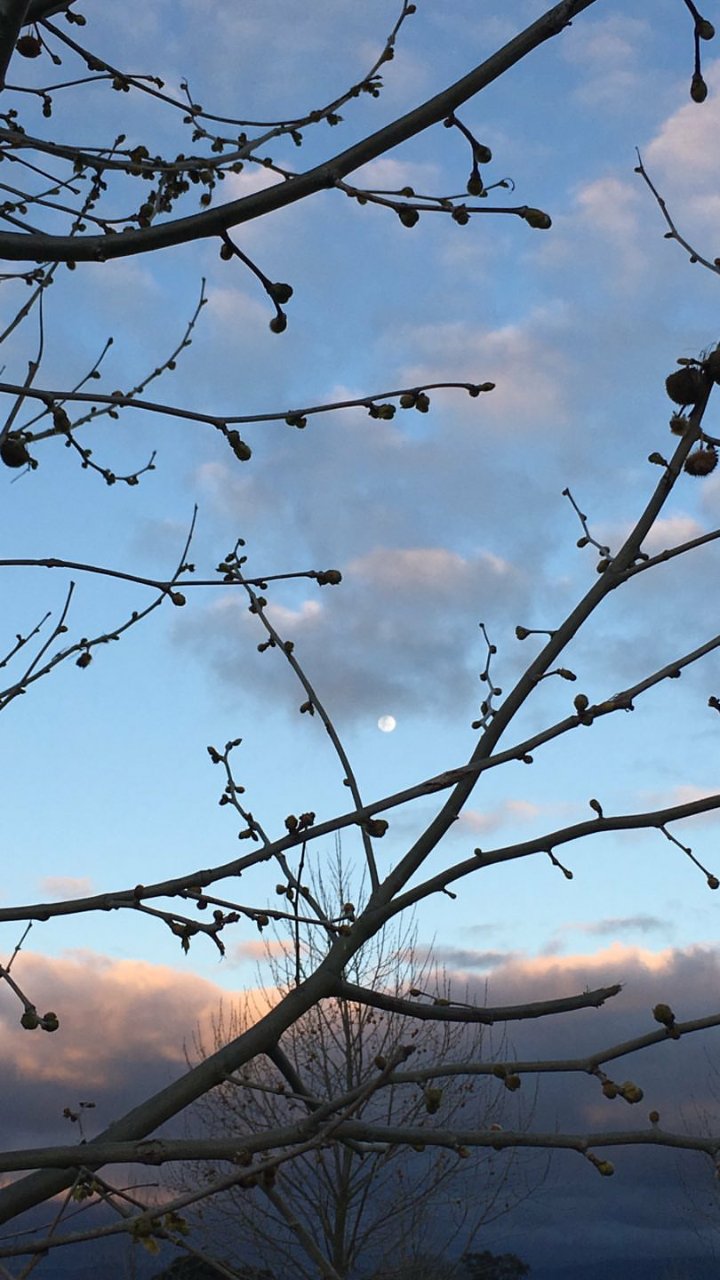 halindaskh's profile banner image