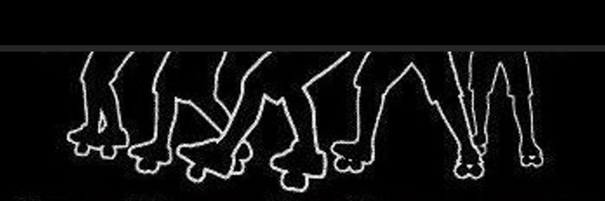 freelineskating's profile banner image