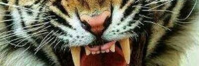 DrWALEADER's profile banner image
