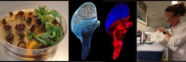 NBjarnholt Profile Banner