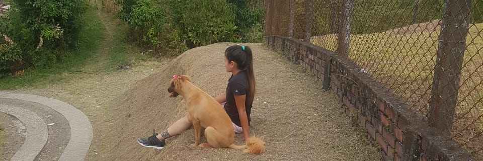 cindymartt's profile banner image