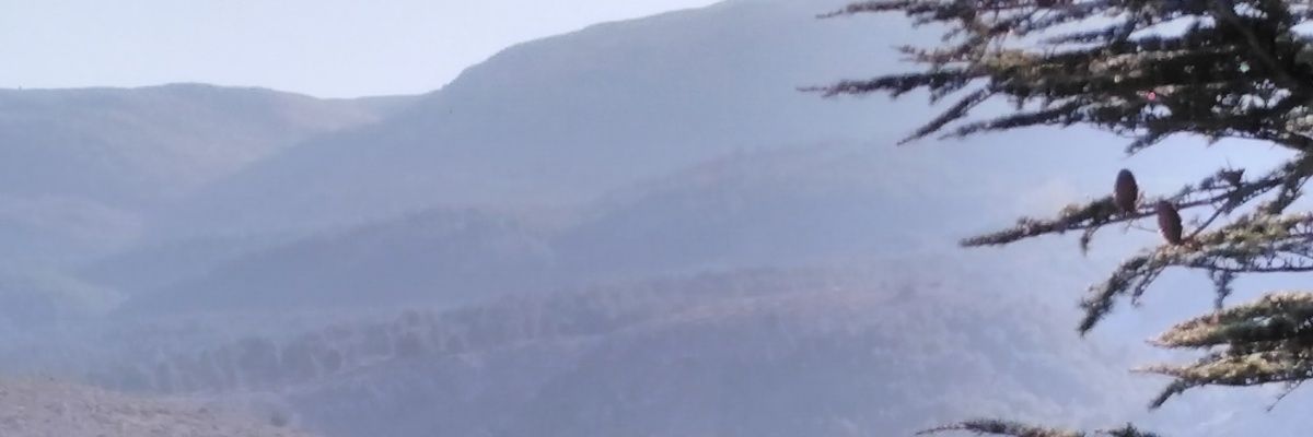 badiye6's profile banner image
