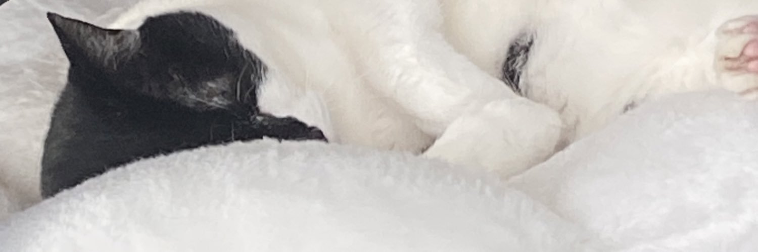me banner