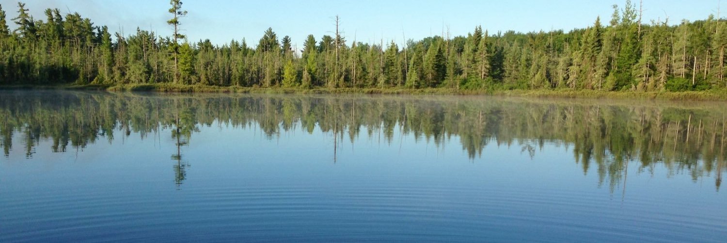 tinettti's profile banner image