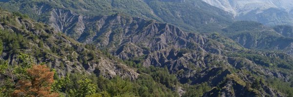 MatejaOgric Profile Banner