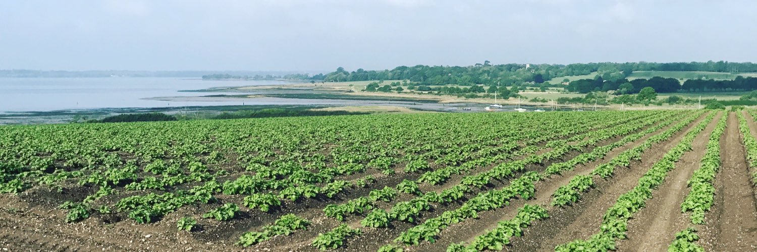 William Wrinch Farms banner