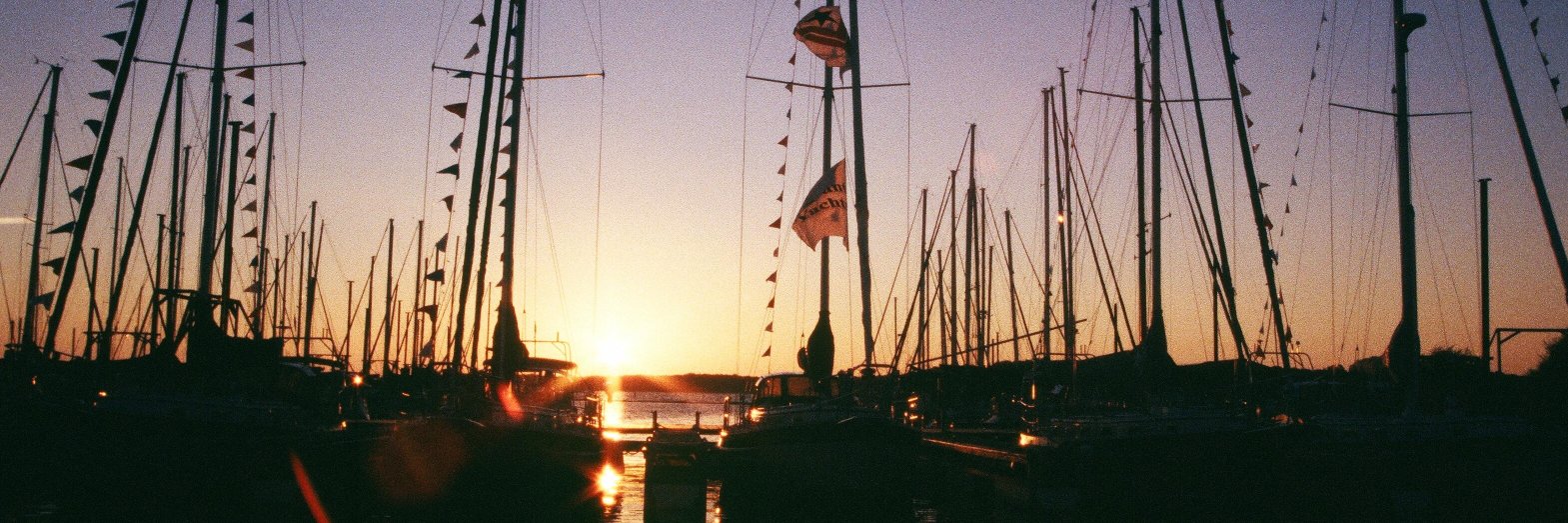 Carmen Goldthwaite banner