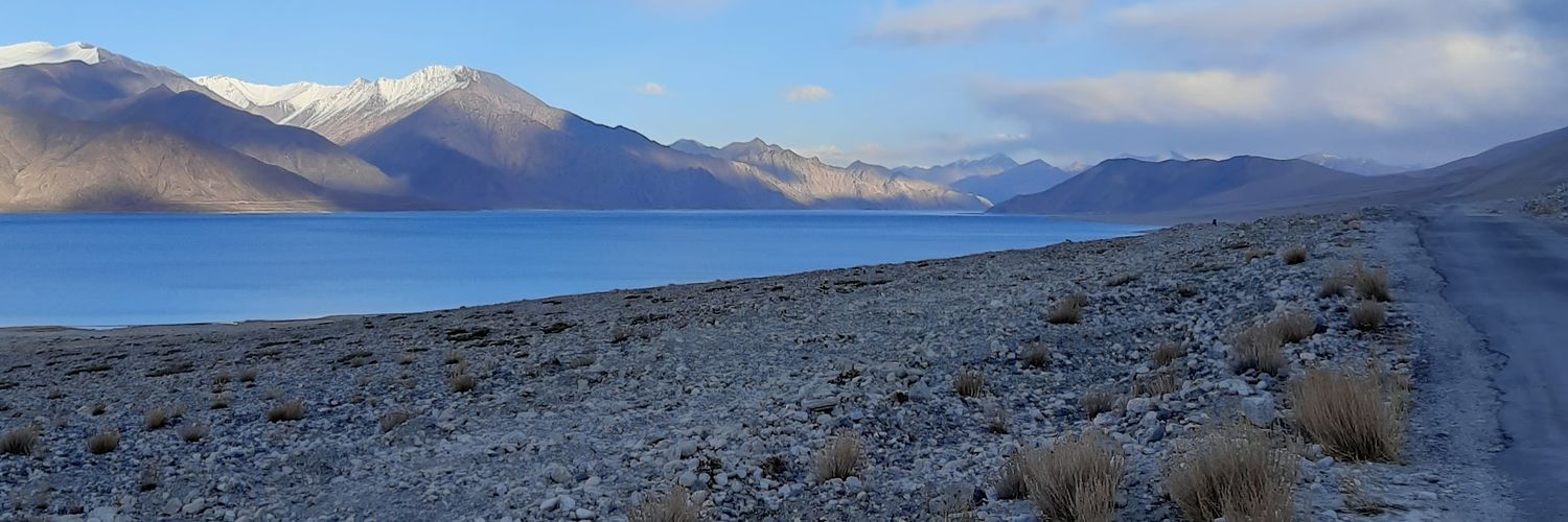 निर्मोही banner