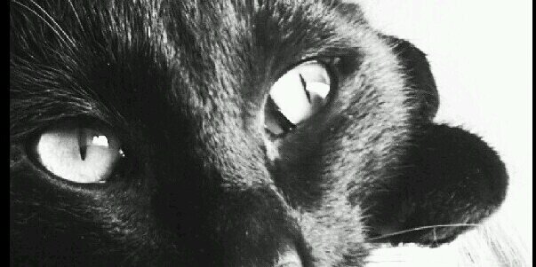 Dlin026's profile banner image