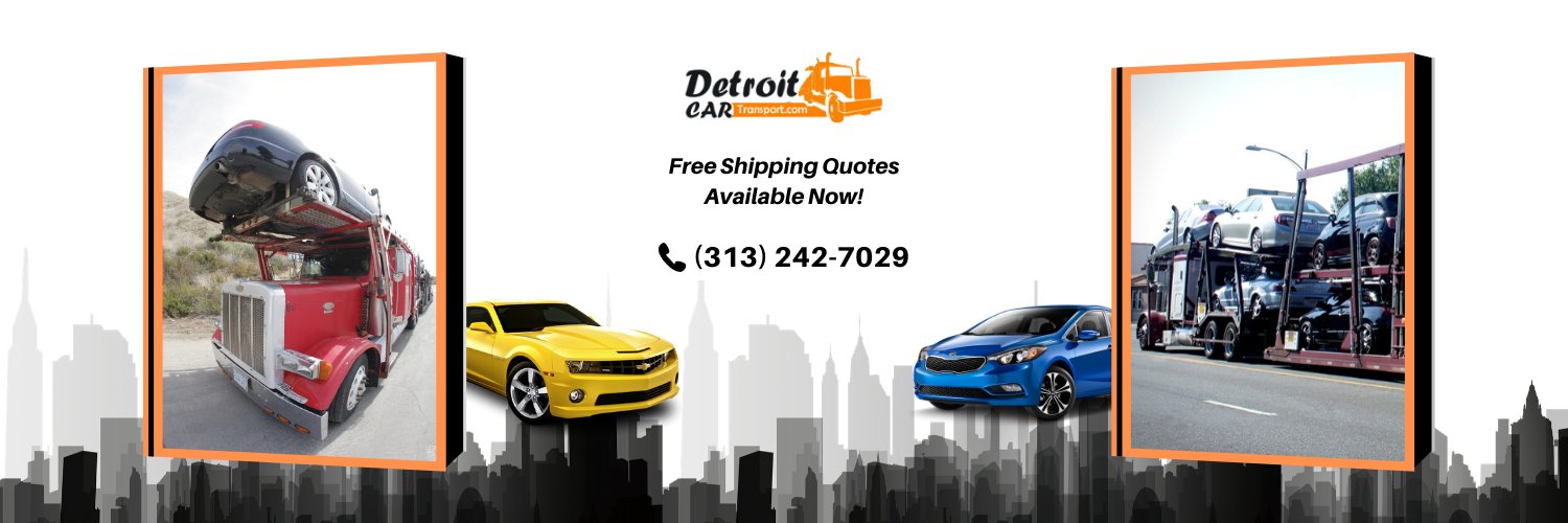DetroitCarTrans's profile banner image