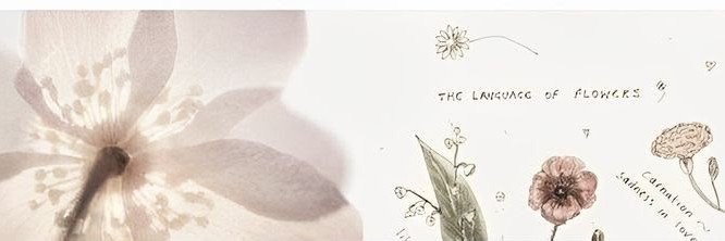 tariabn's profile banner image