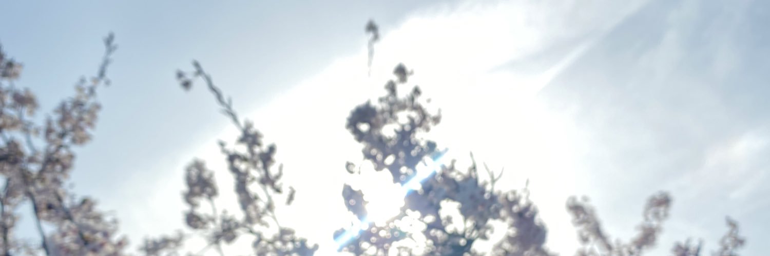 三 banner