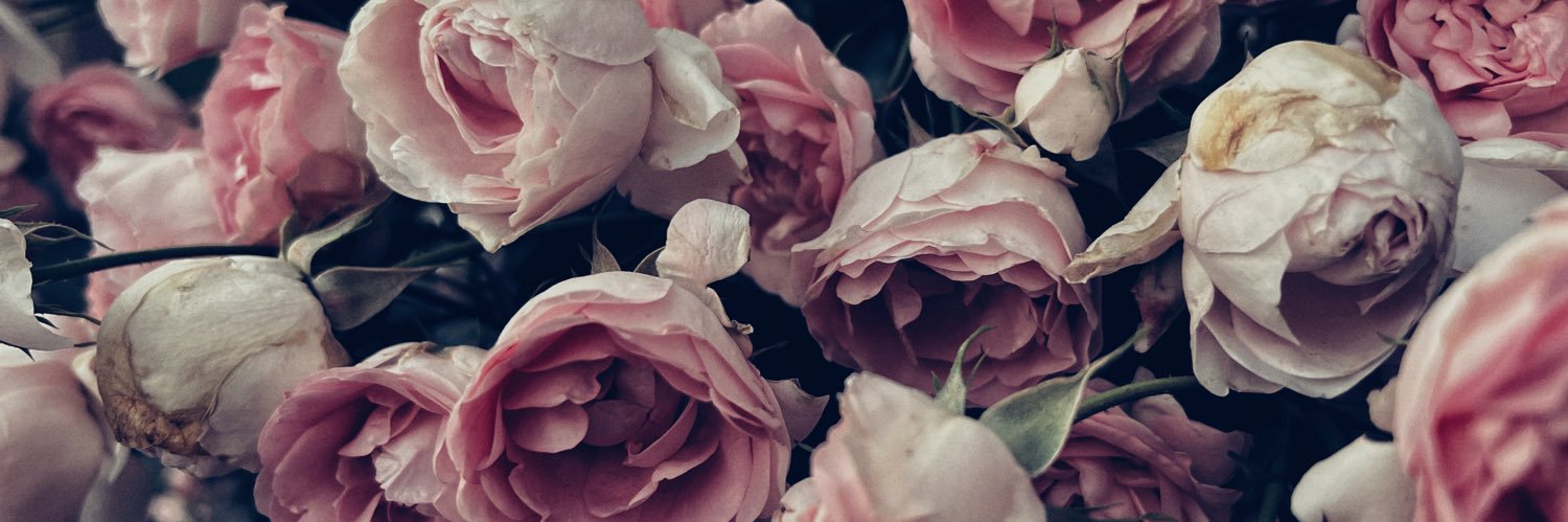 chivire's profile banner image