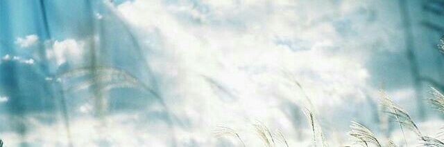 AmBaicha's profile banner image