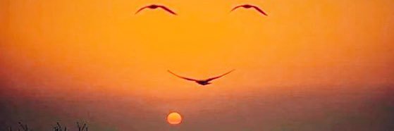 فالح الدخنان banner