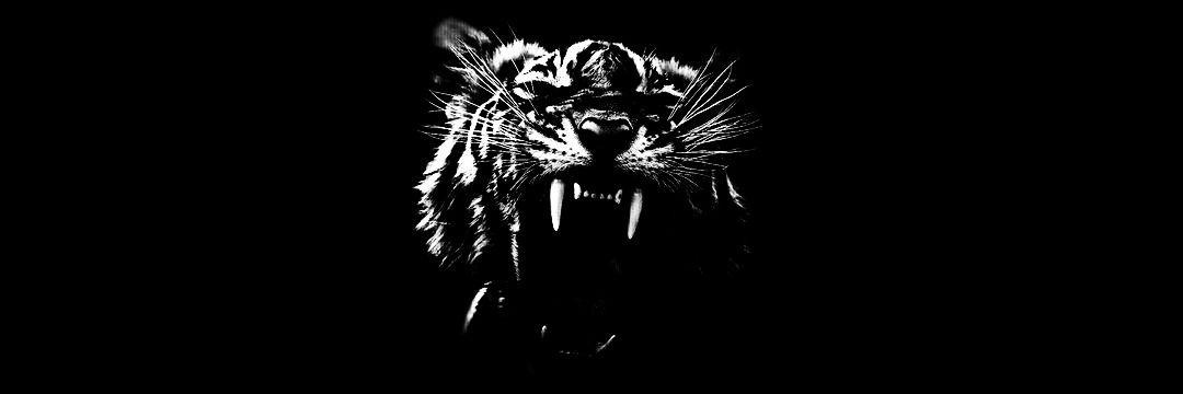 Death_isLife's profile banner image