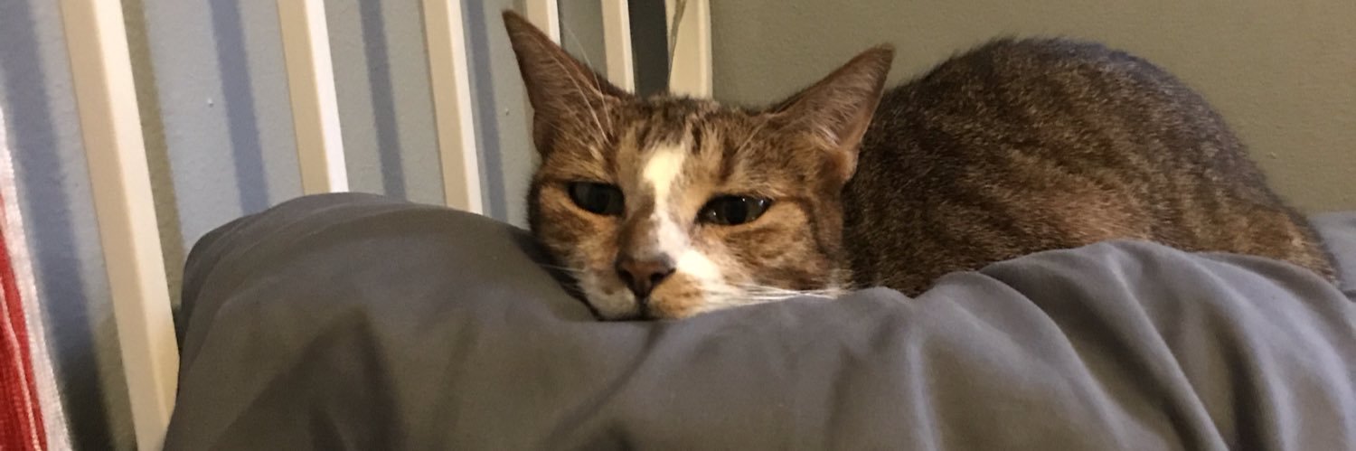 PrincessBiinky's profile banner image