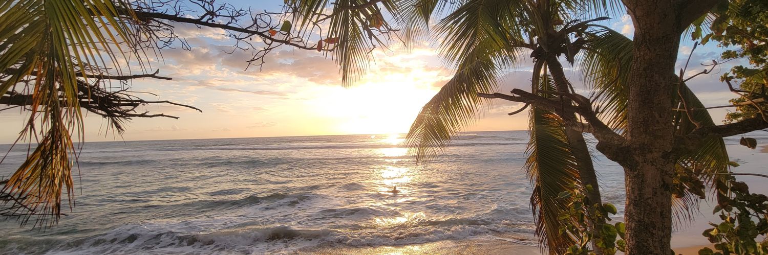 Angel Figueroa banner