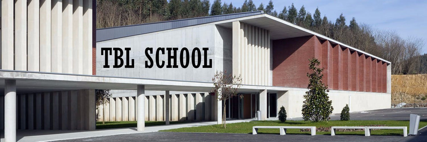 Colegio Ayalde banner