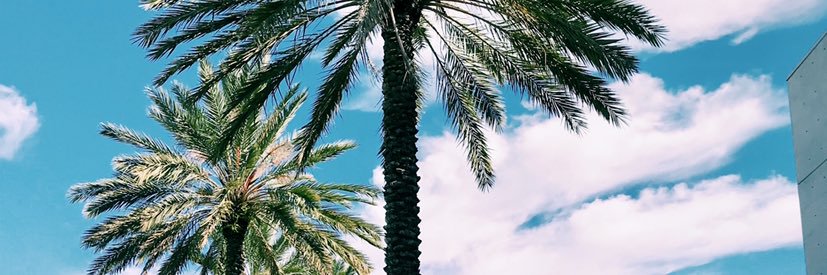 BiancaS____'s profile banner image