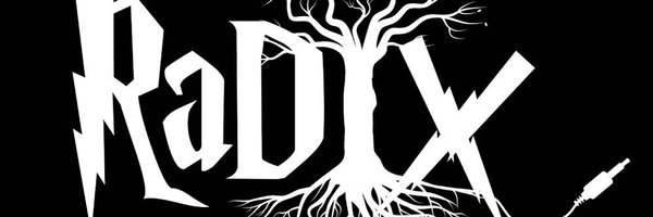 dj_radix Profile Banner