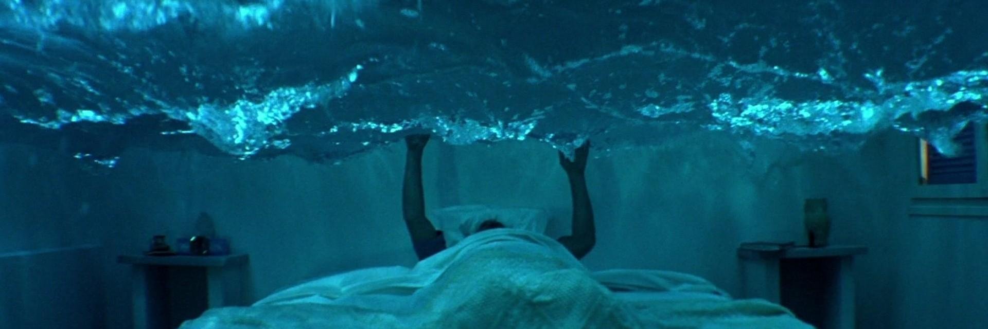 Laura Di Biasio banner