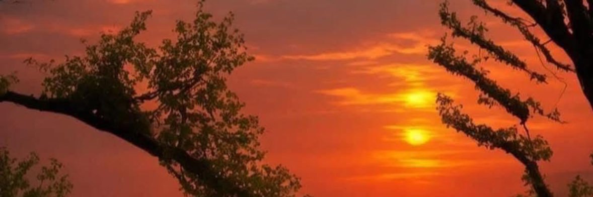 royaal96's profile banner image