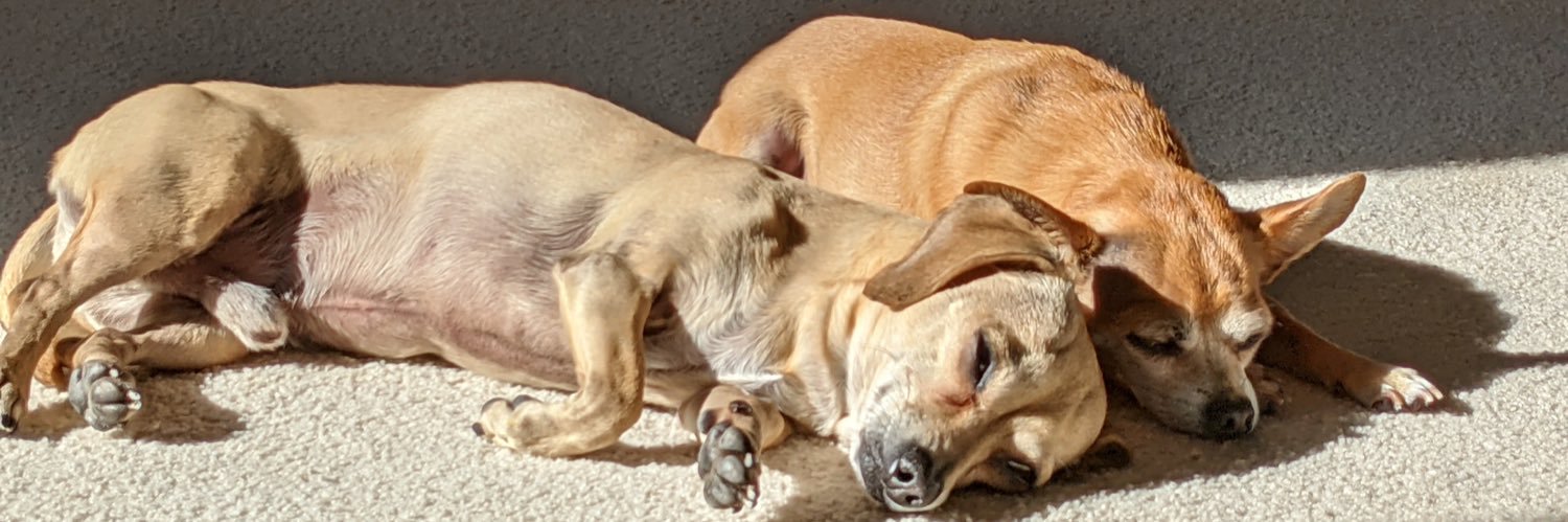 Raul Gonzalez banner