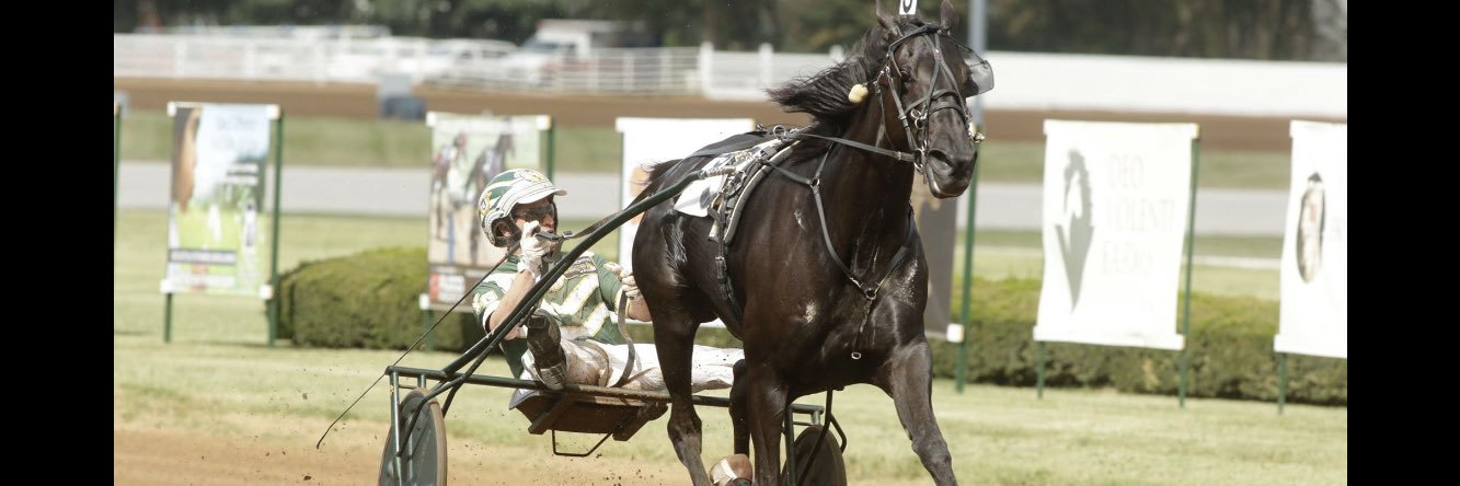 Yannick Gingras banner
