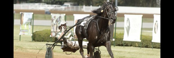 Gingras3 Profile Banner