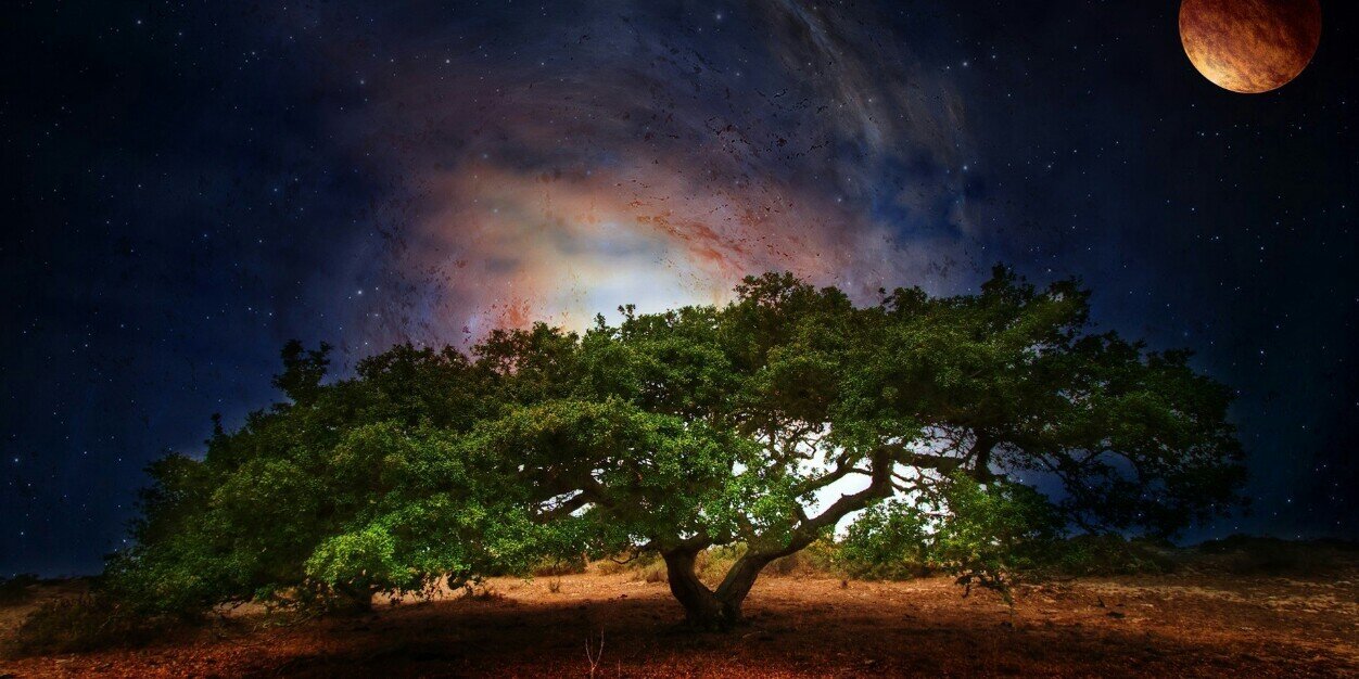 AlvinJaffi's profile banner image