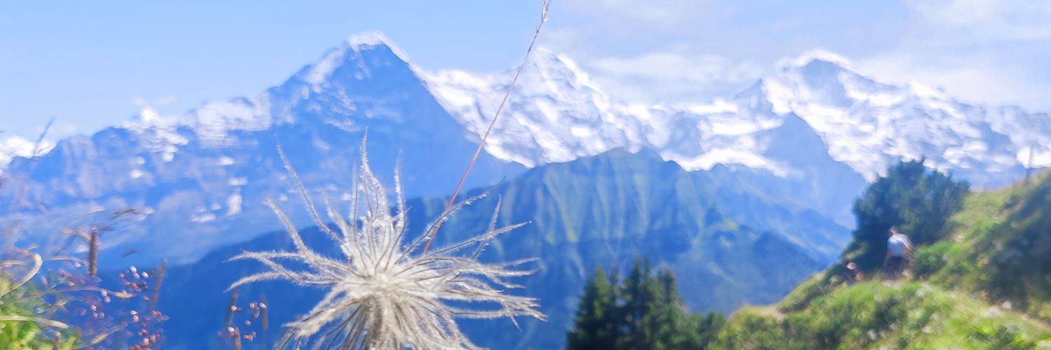 LauraPrezMartn2's profile banner image