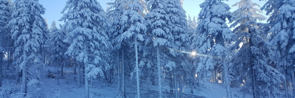 KarlMaresch's profile banner image